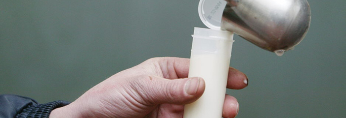 Bacteriologisch Onderzoek