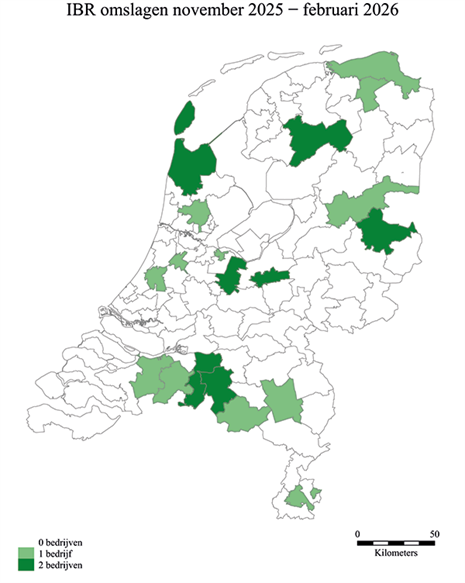 ibr omslagen nov 25 tot feb 26