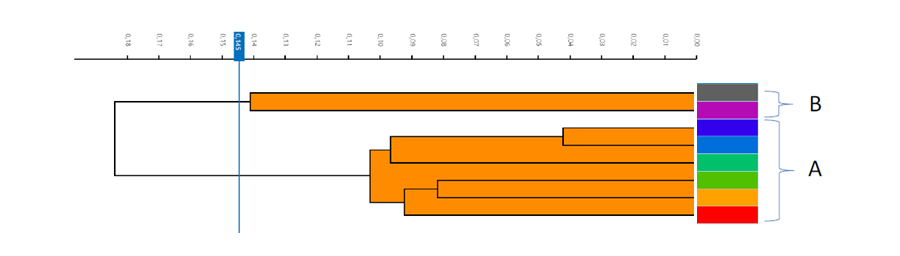 Dendrogram FTIR Pasteurella