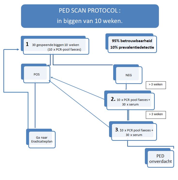 PED SCAN
