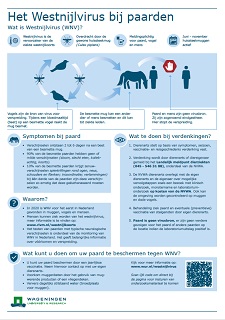 Het Westnijlvirus bij paarden