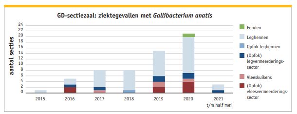 Ziektegevallen g.anatis