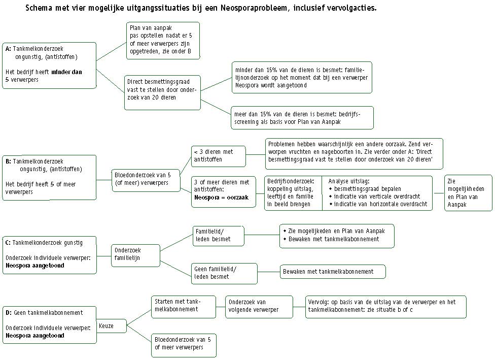 neospora schema