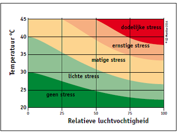 hittestress