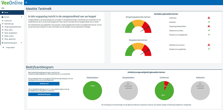homepage dashboard