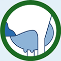 Mastitis - Grip