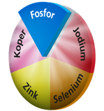 fosfor