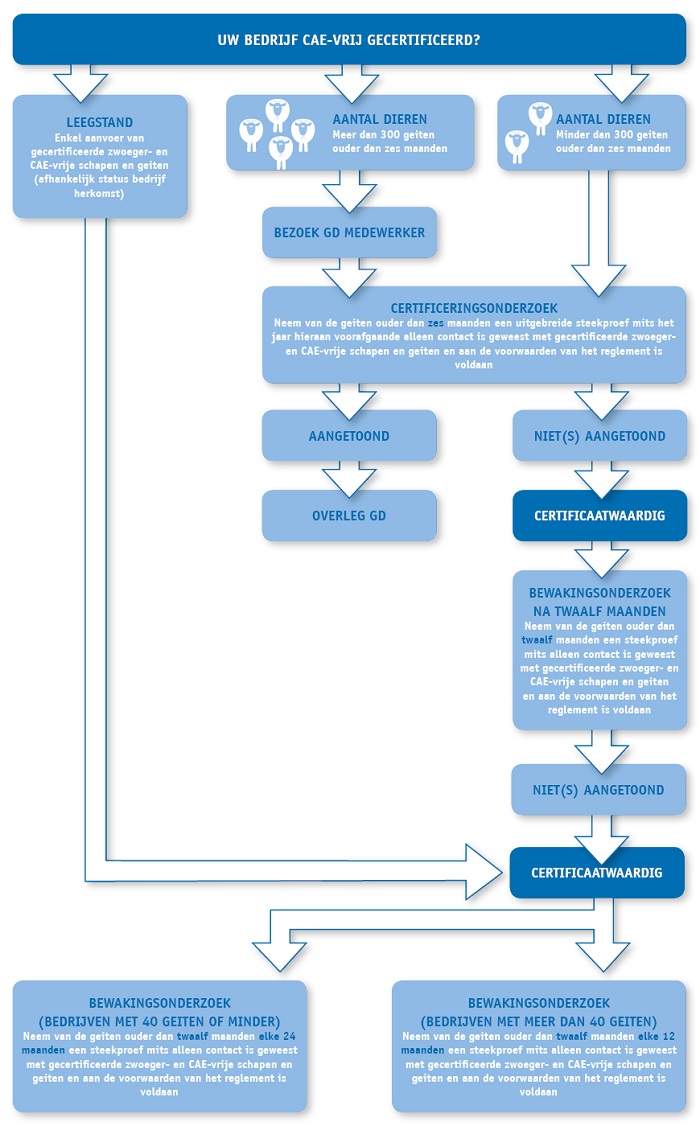 CAE certificering