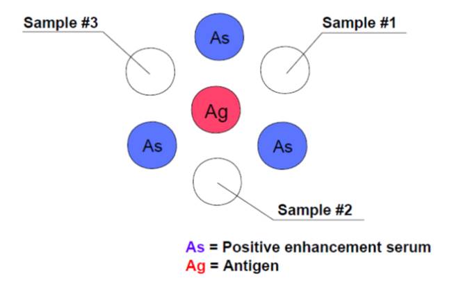 Schematische weergave inzetschema Coggins test