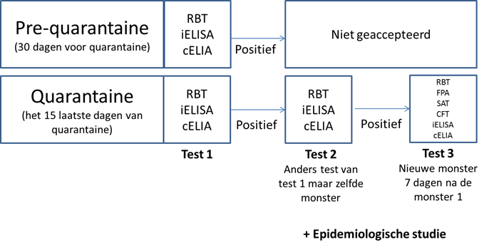 Figuur 1: schematische toelatingsprotocol in KI met betrekking tot Brucella suis.
