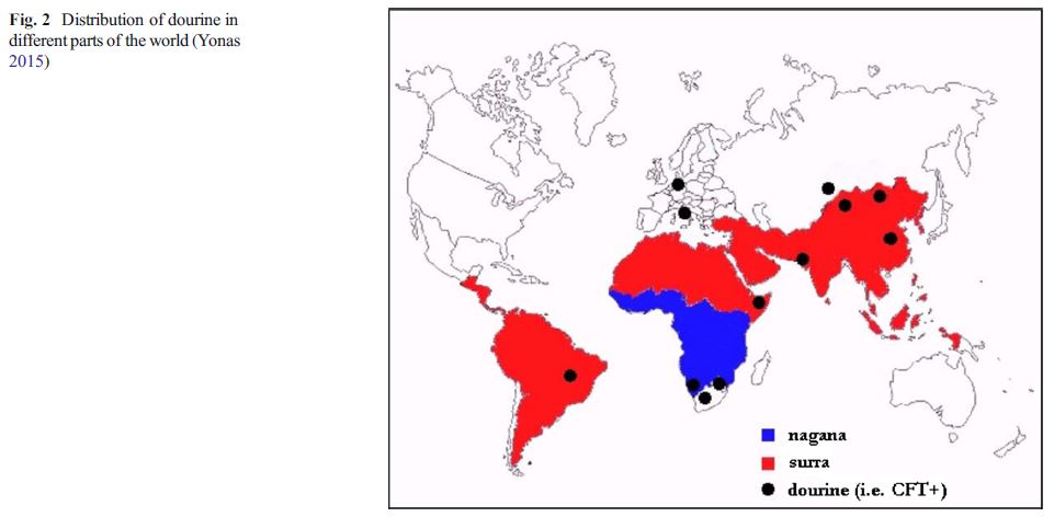 Dourine distribution in different parts of the world