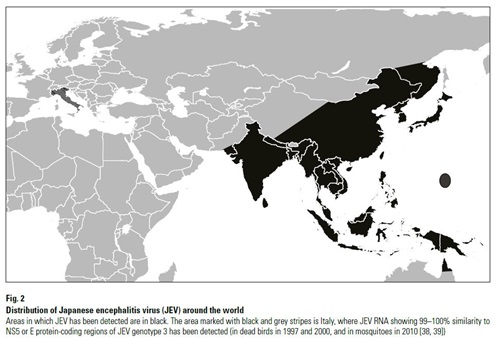 Japanse Encephalitis 