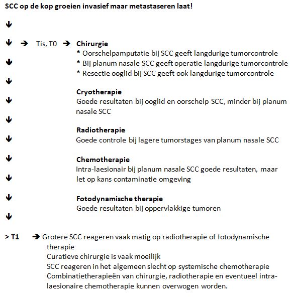 plaveiselcelcircomen