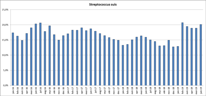 Streptococcus Suis