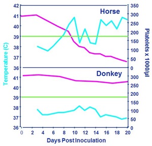 Temperatuur en trombocyten bij paard en ezel in acute fase van EIA infectie