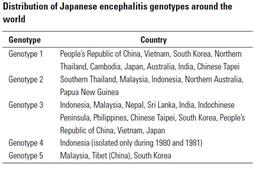 Het Japanse Encephalitisvirus