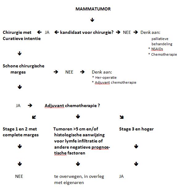 mammatumoren