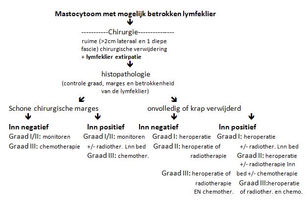 Mastocytoom